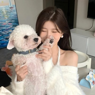 江湖有道海报