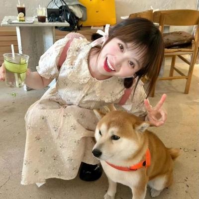柴门小福妻海报