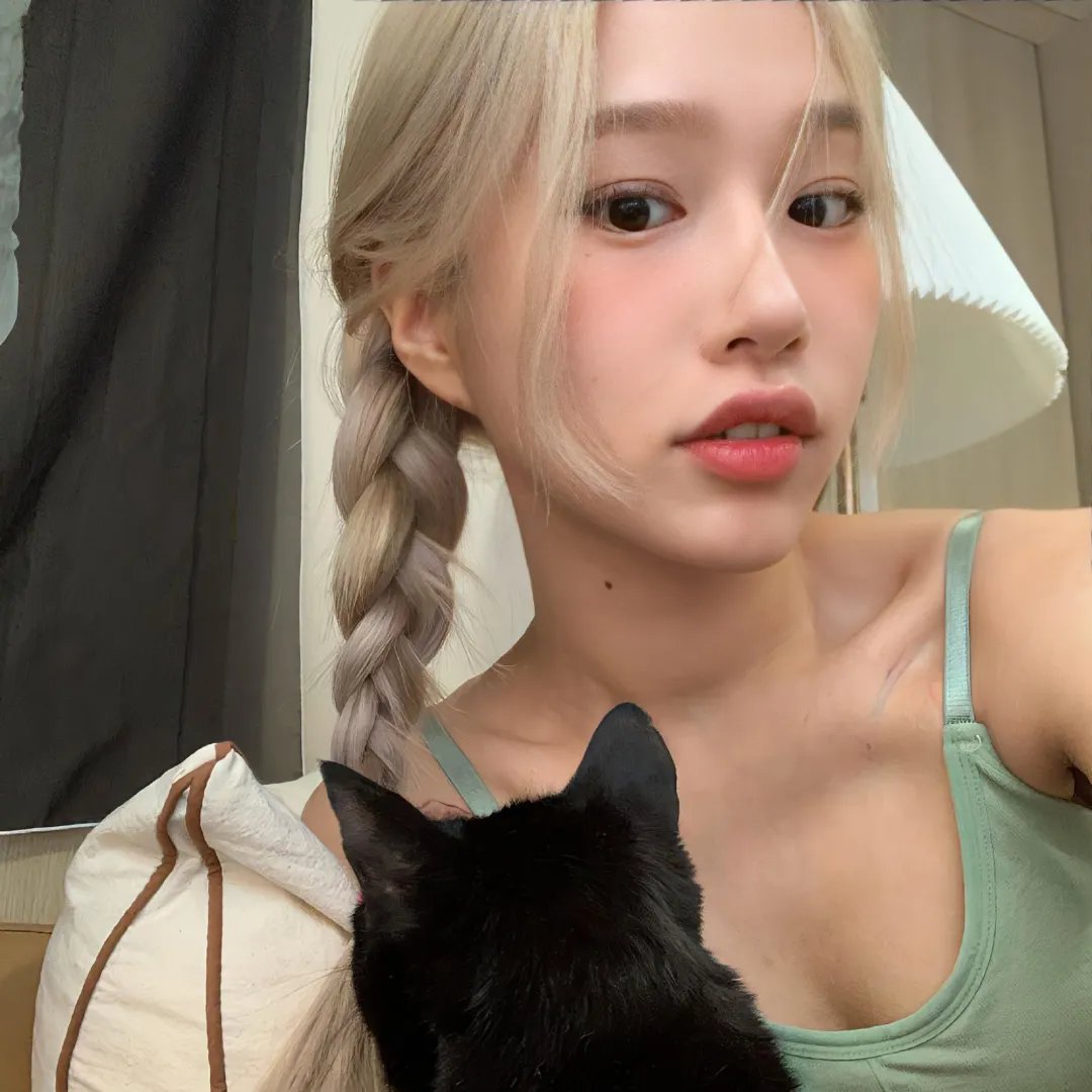 戴帽子的猫海报